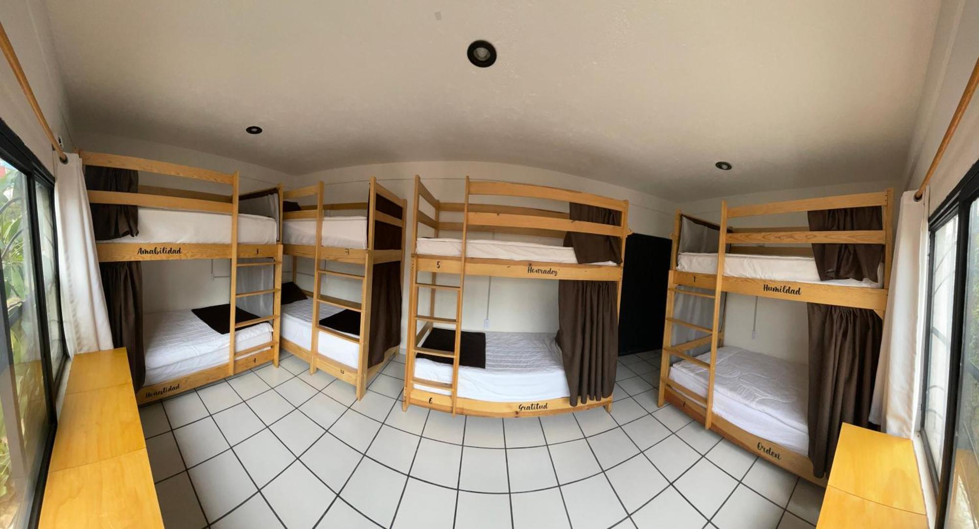 Hostal Roma Condesa メキシコシティ エクステリア 写真